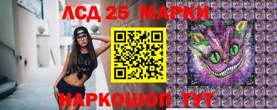тгк Камышлов