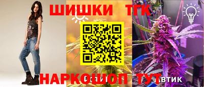 тгк Камышлов