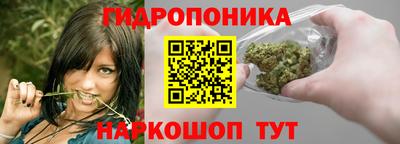 каннабис Кандалакша