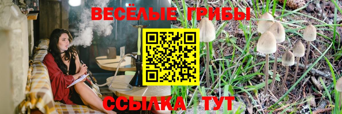 Галлюциногенные грибы мицелий Юрга