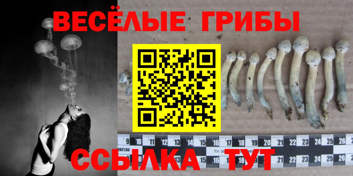 Галлюциногенные грибы GOLDEN TEACHER  Вход с VPN  Юрга 